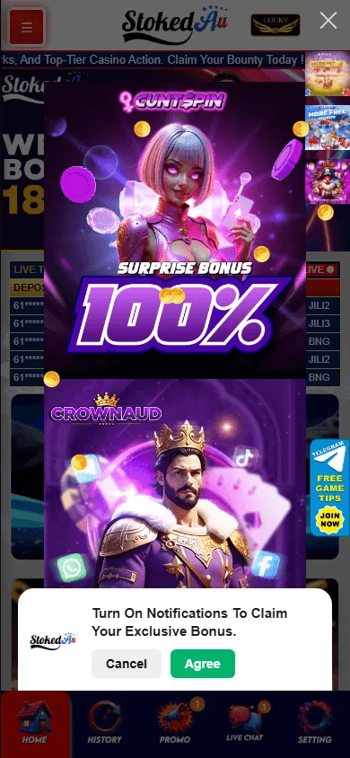 Stokedau Casino home on a mobile device